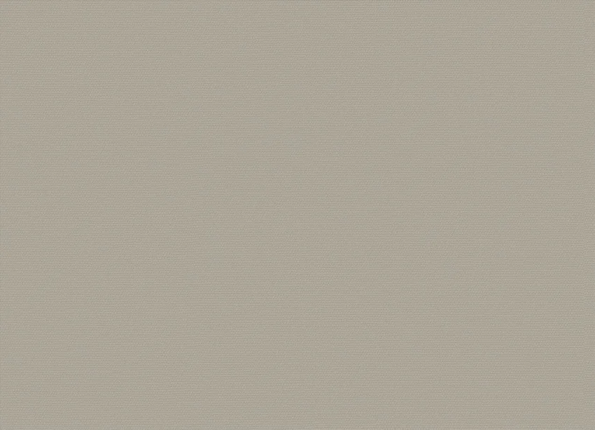Фактура BJAX6303